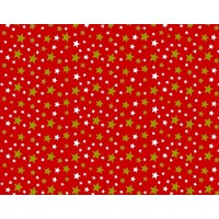 Premium Coated Christmas Gift Wrap Roll  250m x 70cm  3A5533  